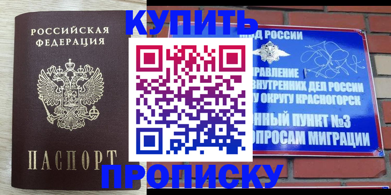 временная регистрация для школы в Луге