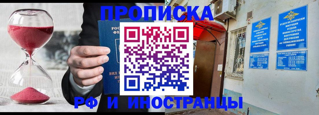 прописка 2025 в Луге